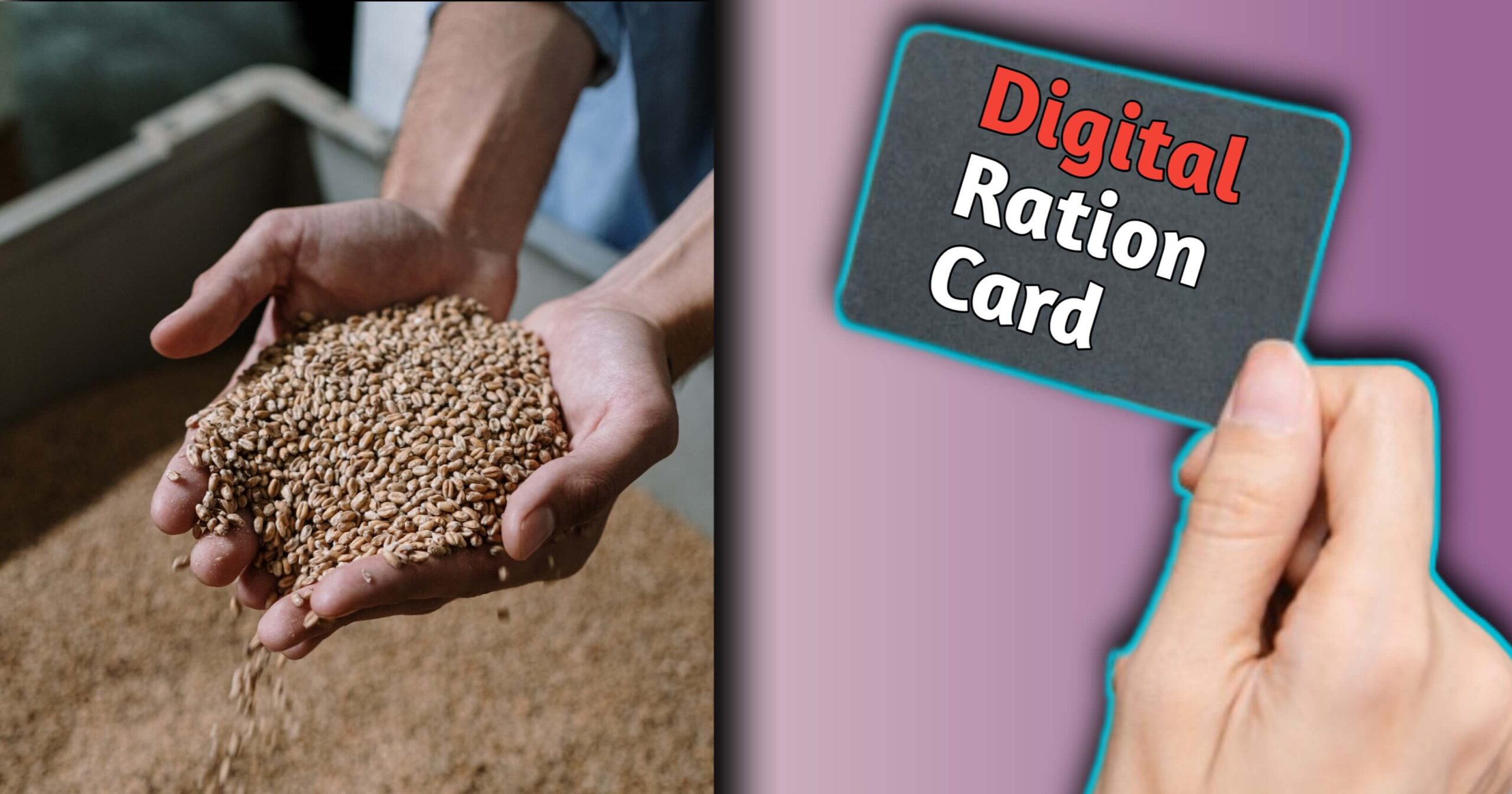 Digital ration card download